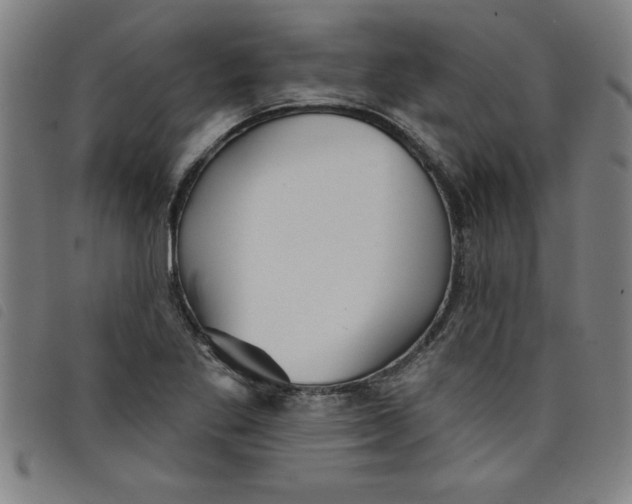 X0000097871269200804041543