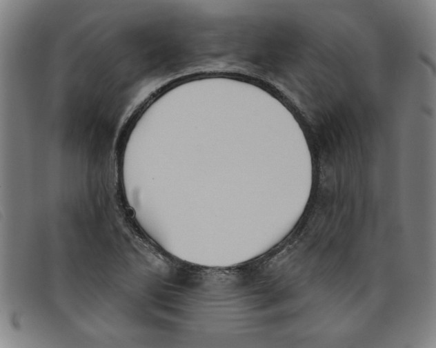 X0000097871270200804041543