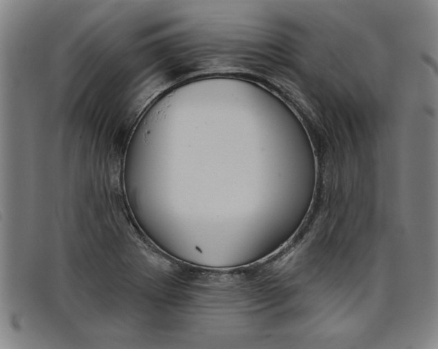 X0000097871273200804041543