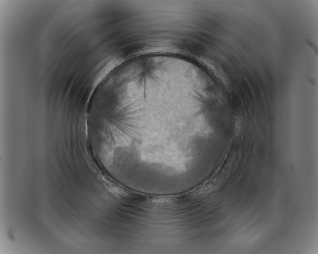 X0000097871274200804041543