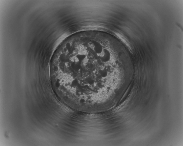 X0000097871275200804041543