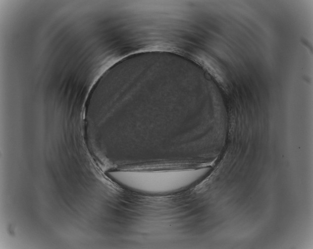 X0000097871276200804041543