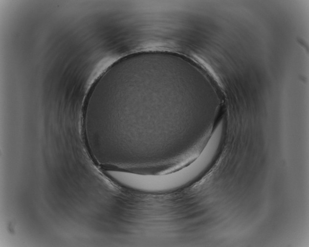 X0000097871277200804041543