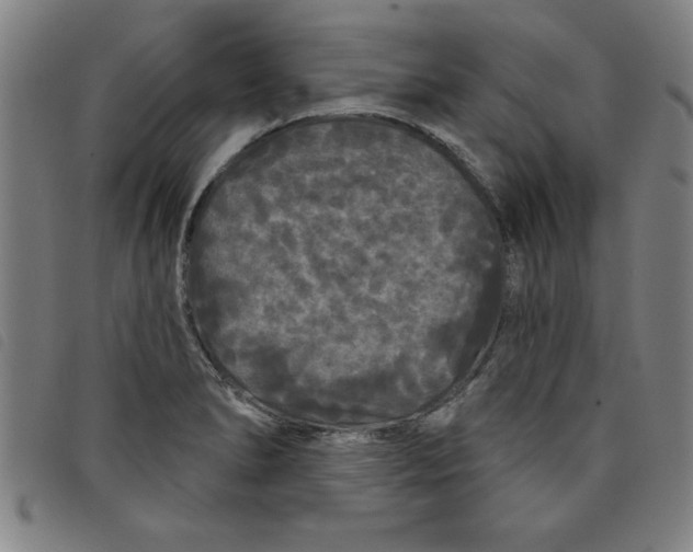 X0000097871278200804041543