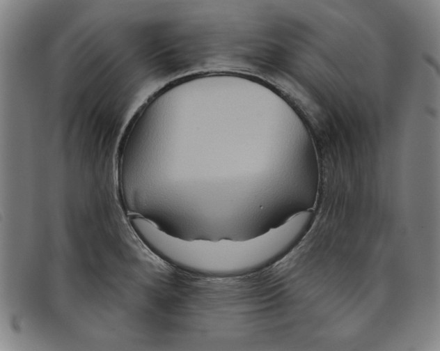 X0000097871280200804041543