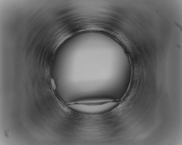 X0000097871281200804041543