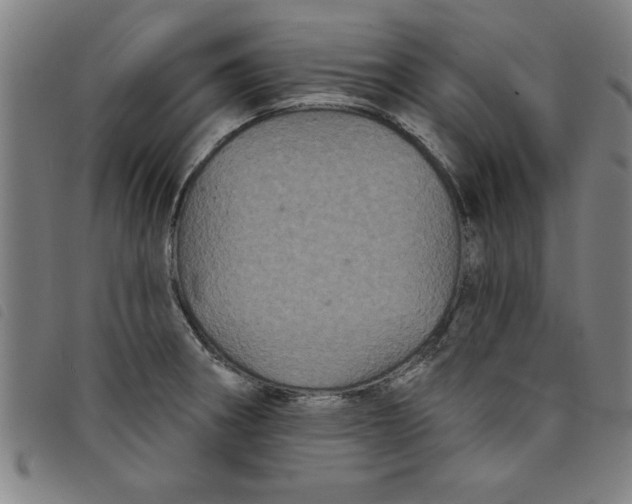 X0000097871282200804041543