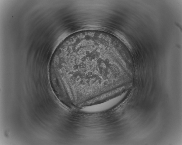 X0000097871283200804041543