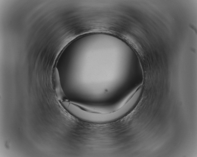 X0000097871284200804041543