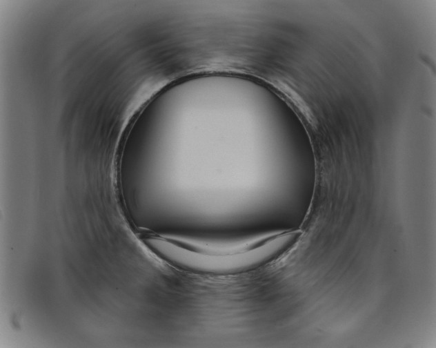 X0000097871285200804041543