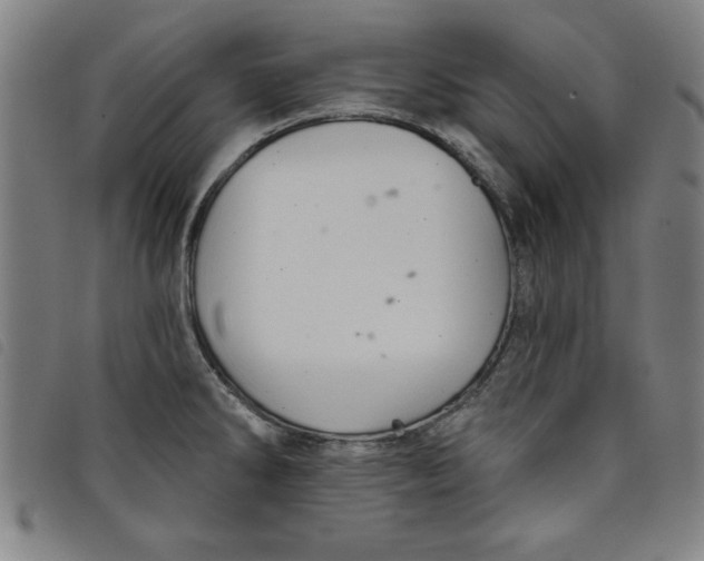 X0000097871286200804041543