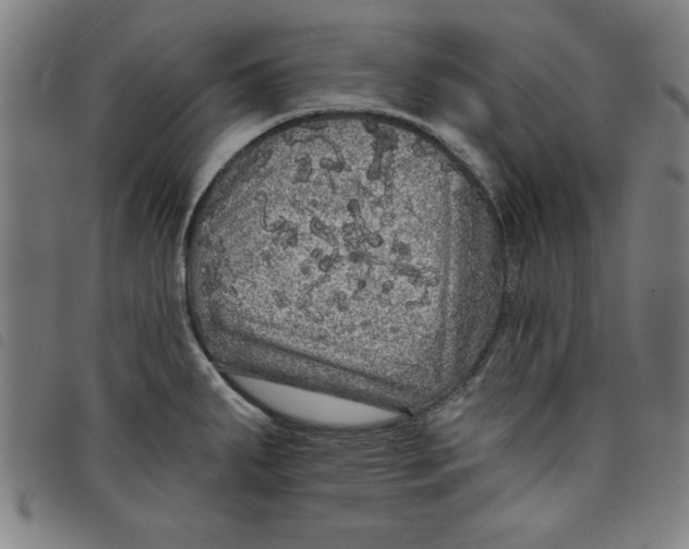 X0000097871287200804041543