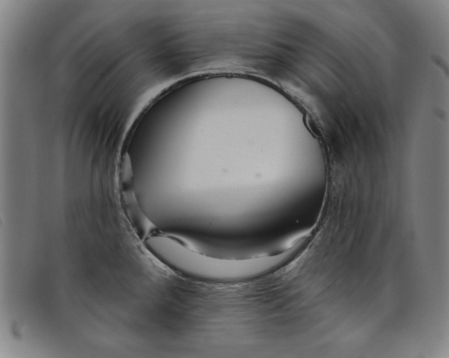 X0000097871288200804041542