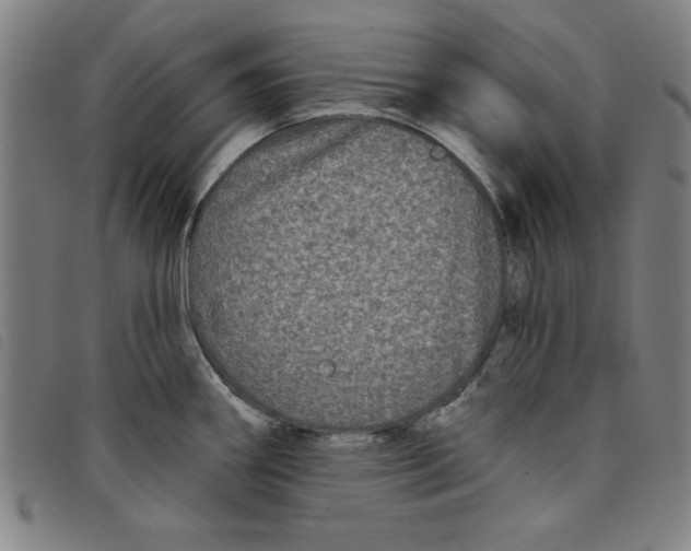 X0000097871290200804041542