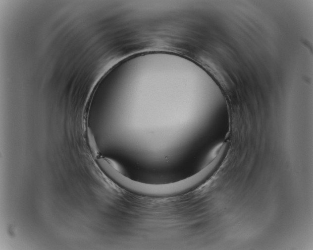 X0000097871292200804041542