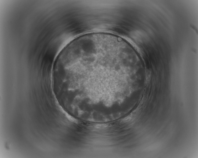 X0000097871294200804041542