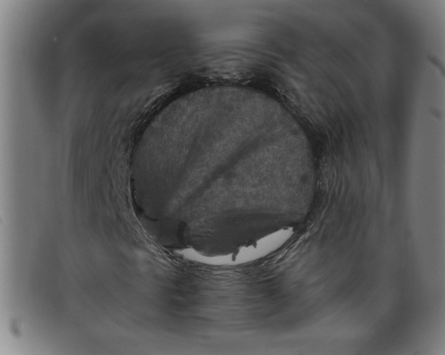 X0000097871297200804041542