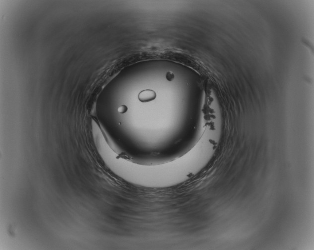 X0000097871299200804041542