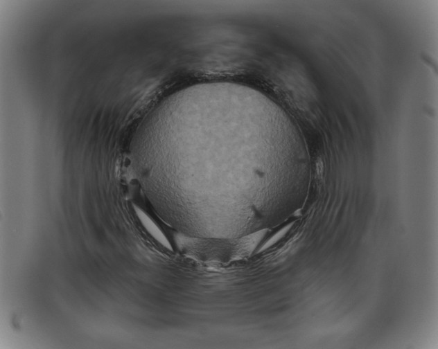 X0000097871300200804041542