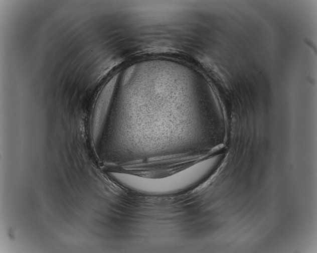 X0000097871305200804041542