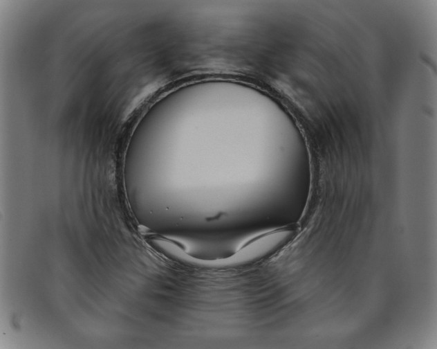 X0000097871307200804041542