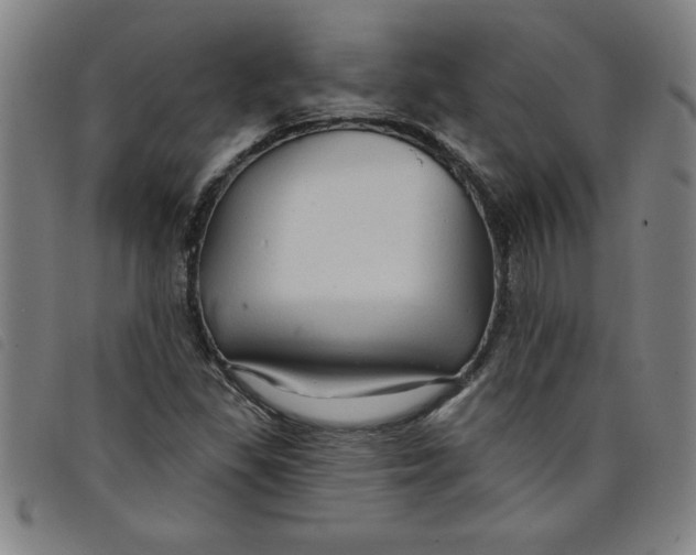 X0000097871309200804041542