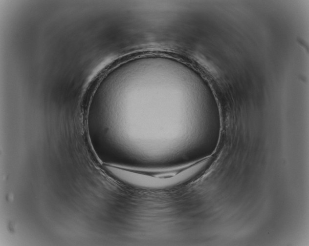 X0000097871310200804041542