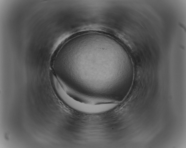 X0000097871312200804041542
