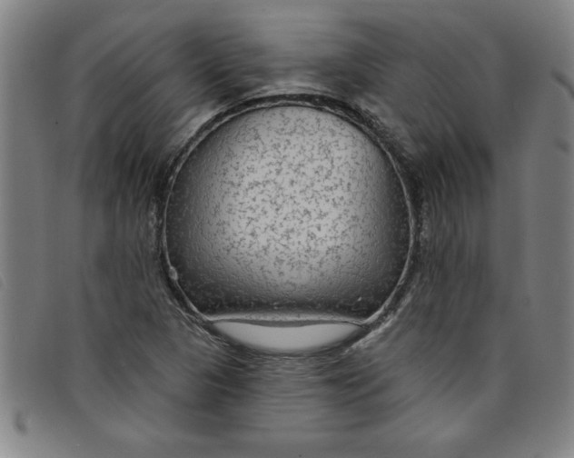 X0000097871313200804041542