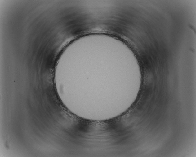 X0000097871314200804041542