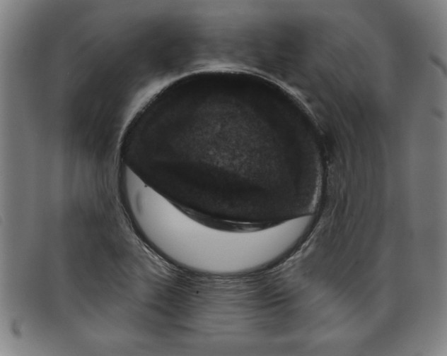 X0000097871319200804041542