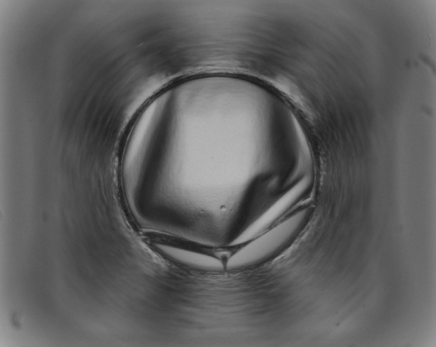 X0000097871325200804041542