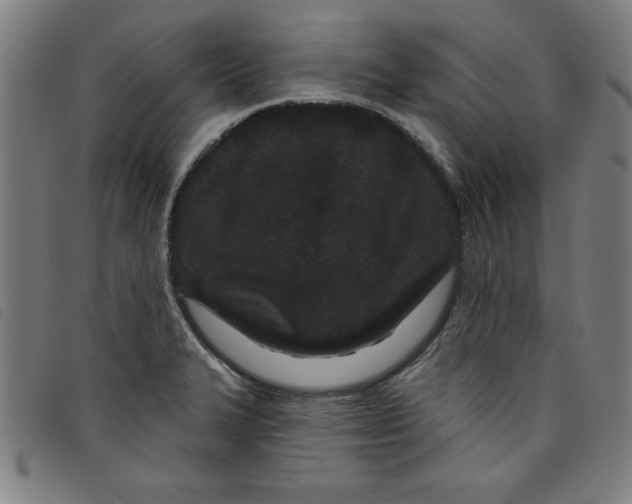 X0000097871327200804041542