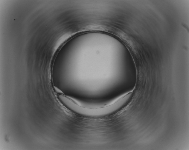 X0000097871328200804041542