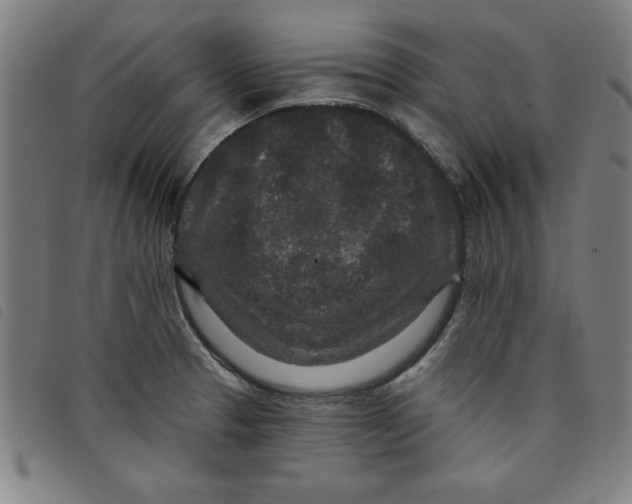 X0000097871329200804041542