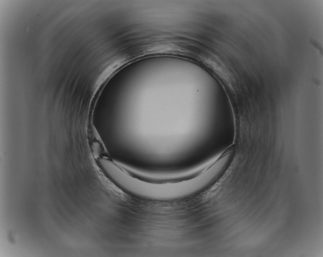 X0000097871330200804041542