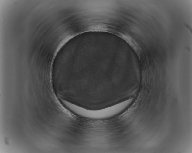 X0000097871331200804041542