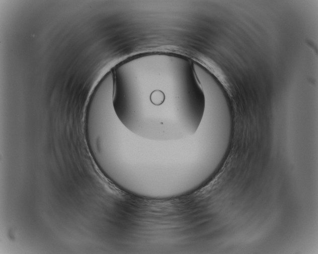 X0000097871332200804041542