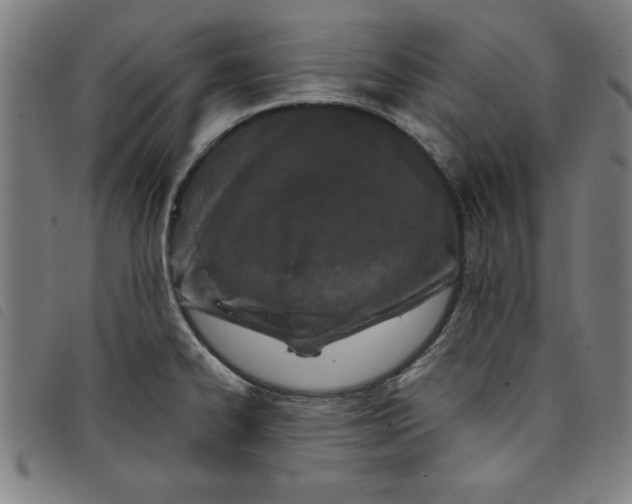 X0000097871334200804041542