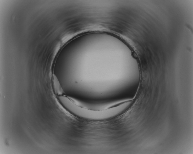 X0000097871335200804041542