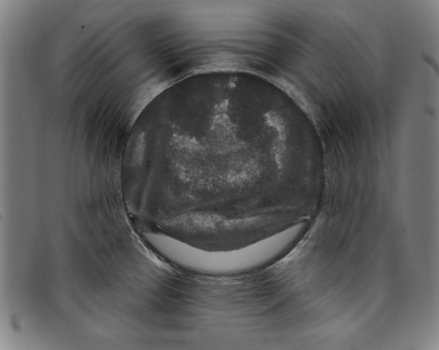 X0000097871337200804041542