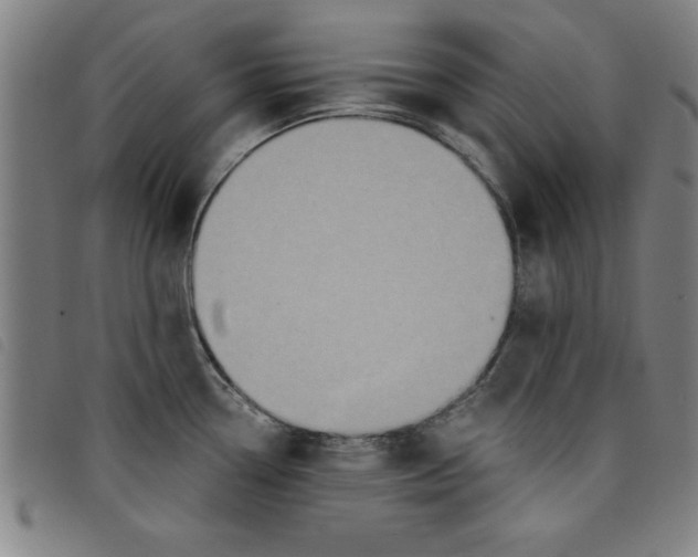 X0000097871338200804041542