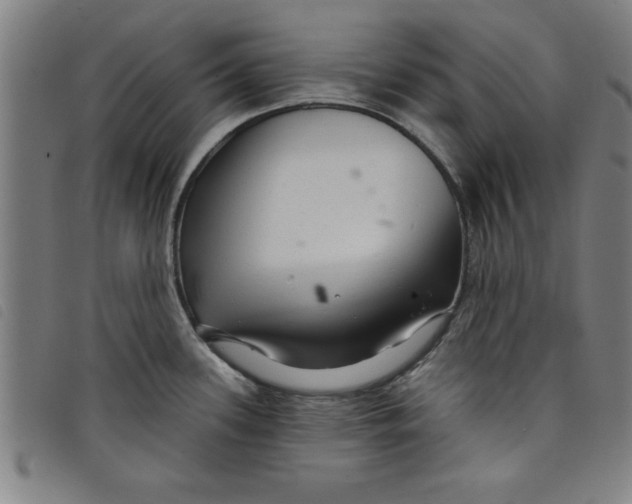 X0000097871339200804041542