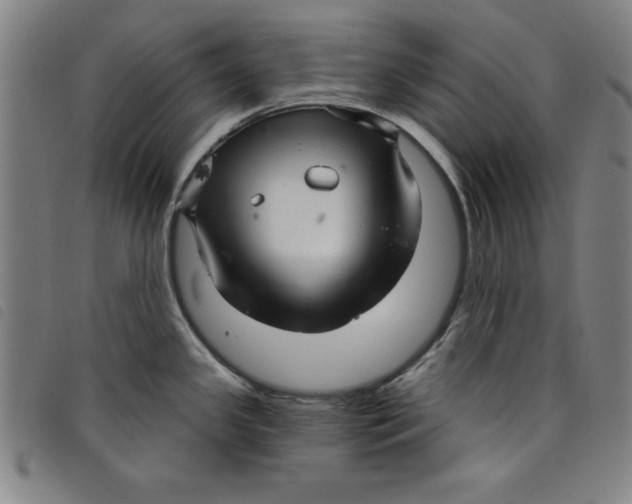 X0000097871341200804041542
