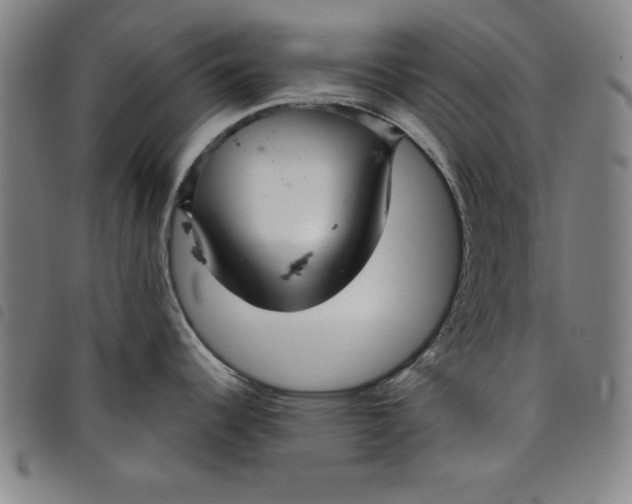X0000097871344200804041542