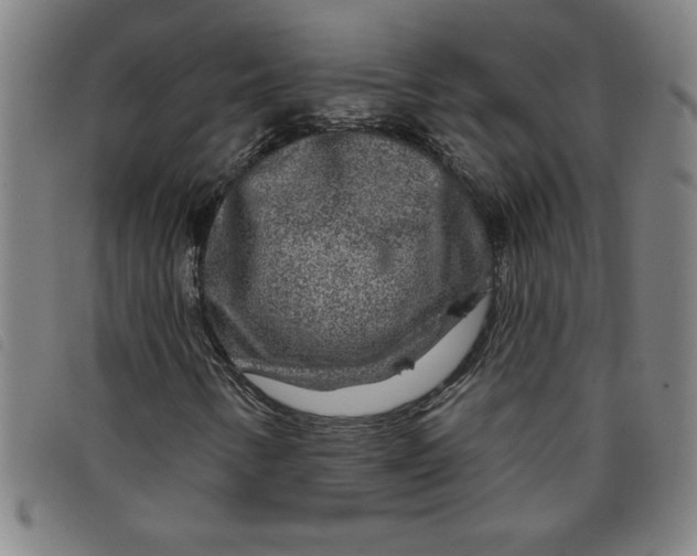 X0000097871346200804041542