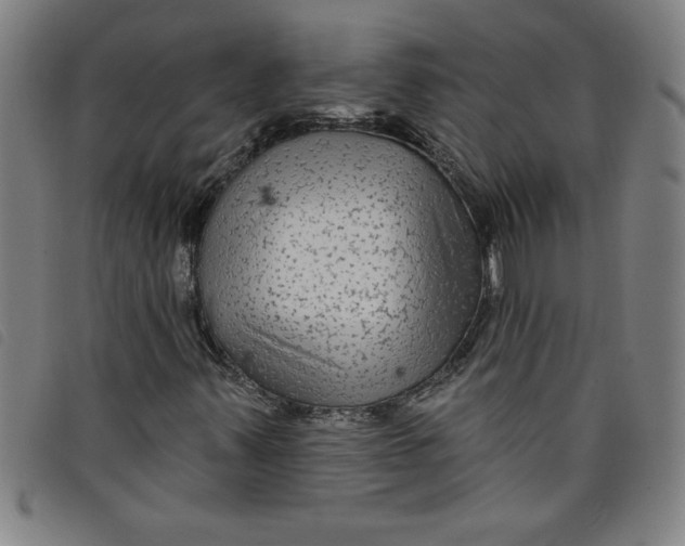 X0000097871347200804041542