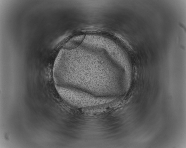 X0000097871350200804041542