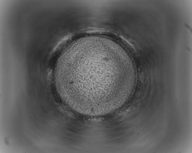 X0000097871351200804041542