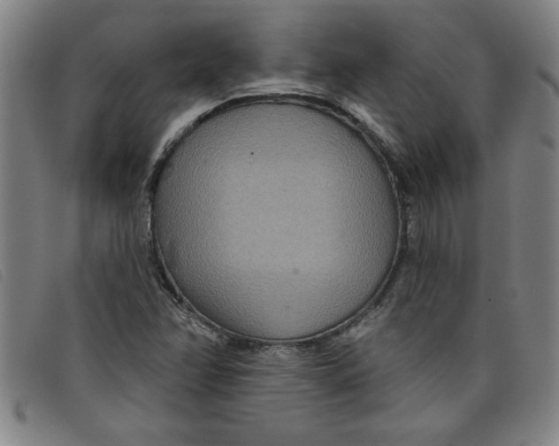 X0000097871358200804041542
